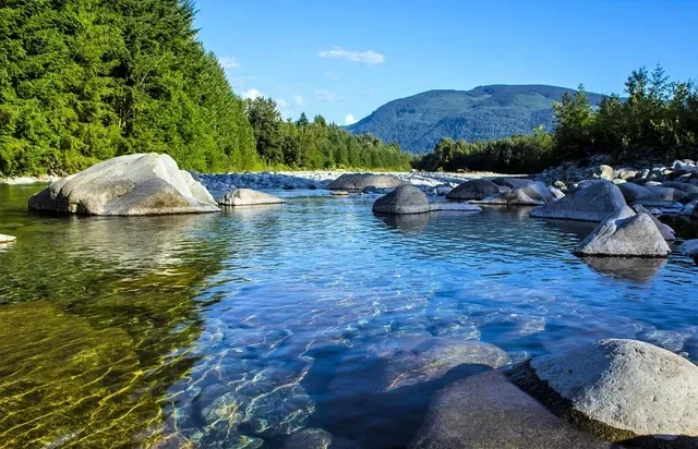 A river with rocks in it and trees